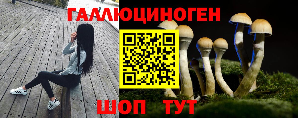 Марихуана  A-PVP СОЛЬ кристаллы  Экстази  Мефедрон   LSD-25  ГАШИШ  ГАШИШ  Старый Оскол  АМФ кристаллы  Вход с VPN 