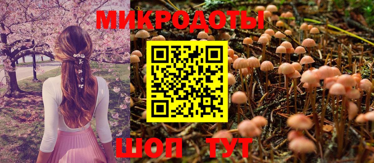 Галлюциногенные грибы Cubensis  наркошоп  Старый Оскол  Вход с VPN 